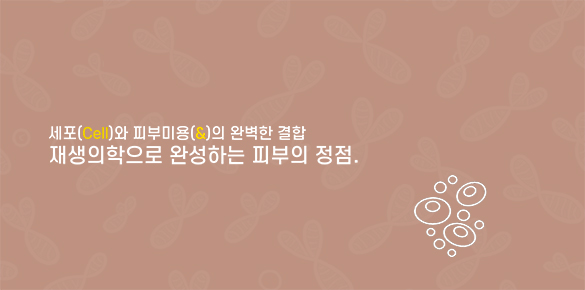 Cell & Clinic’s 눈매&쌍꺼풀 교정